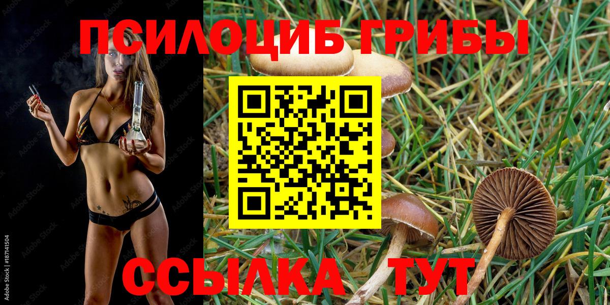 Галлюциногенные грибы ЛСД Учалы