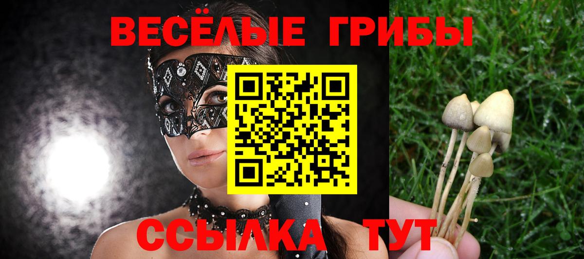 Галлюциногенные грибы GOLDEN TEACHER  Вход с VPN  наркота  Учалы 